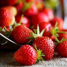 Van Zyverden Everbearing Strawberries Sequoia Set of 20 Roots