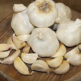 Van Zyverden Garlic Softneck Silverskin Italian Late - 3 Cloves