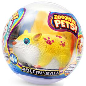 Zooomie Pets Rollin' Ball & Zoomin' Wheel Interactive Bundle