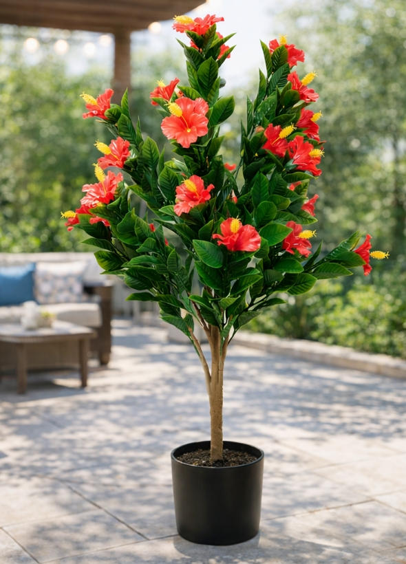 plant